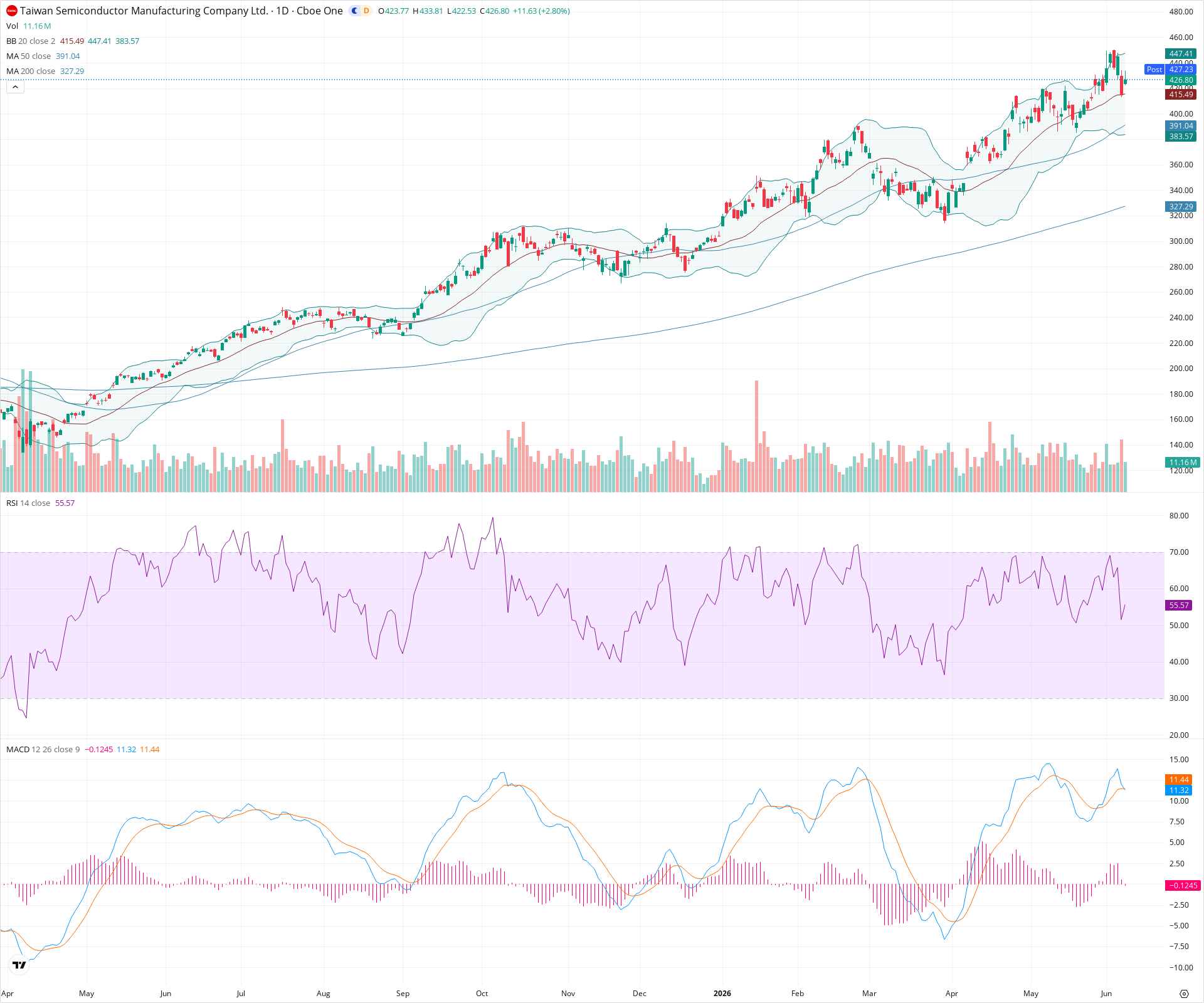 Daily candlestick price chart for TSM as of 2026-06-08T21:02:37.818Z, showing 20-, 50-, and 200-period SMAs, Bollinger Bands, volume, MACD, RSI, and the current price line with top status bar.