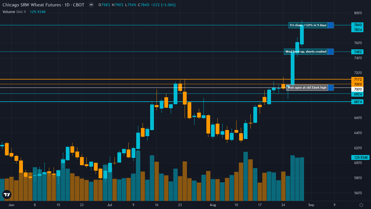 Mon-T Weekly Review — w/e 28 Aug 2026